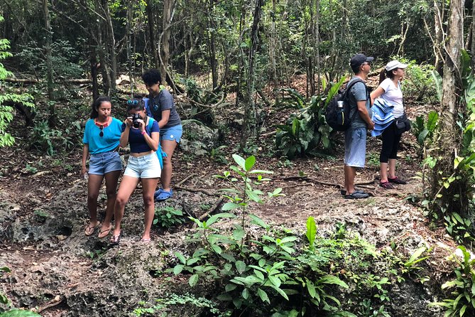 Jungle Jeep Adventure to Mayan Caves, Cenote and Snorkel - Snorkeling at Dzul Ha Reef