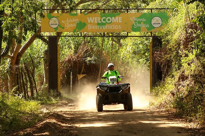 Jungle Single ATV Tour "El Mirador" - The ride itself: bumps, dust, cattle, and real trail work