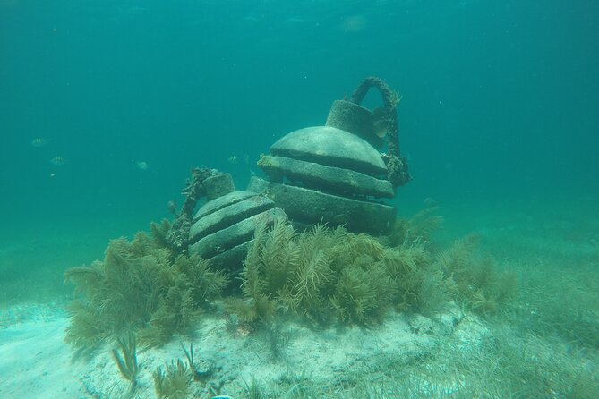 Jungle Tour & Snorkel at Punta Nizuc Reef , Underwater museum - Driving from Puerto Madero through Cancun’s mangroves