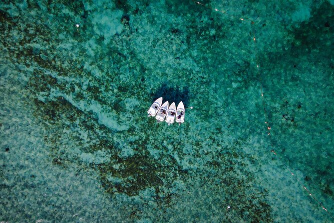 Jungle Tour & Snorkel at Punta Nizuc Reef , Underwater museum - What two hours really includes