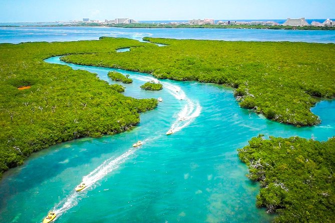 Jungle Tour with Snorkel in Cancun - The reef stop and underwater statues