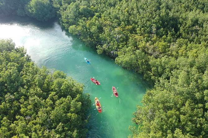 Kayak adventure through Laguna Nichupté in Cancun - Why Laguna Nichupté makes a fine break from Cancun