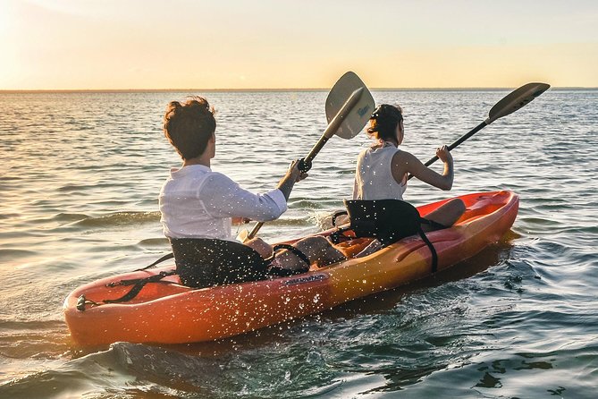 Kayak adventure through Laguna Nichupté in Cancun - Learning how mangroves support the reef