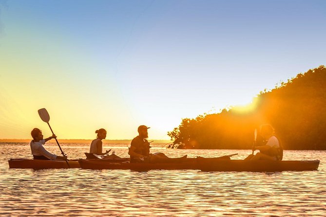Kayak adventure through Laguna Nichupté in Cancun - Getting started at the Kukulcan Boulevard meeting point