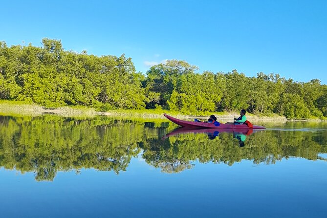 Kayak Experience in the Mangroves of Holbox Island - Guides, group size, and the human side