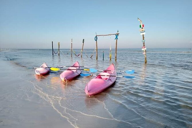 Kayak Experience in the Mangroves of Holbox Island - Pickup, timing, and small details that matter
