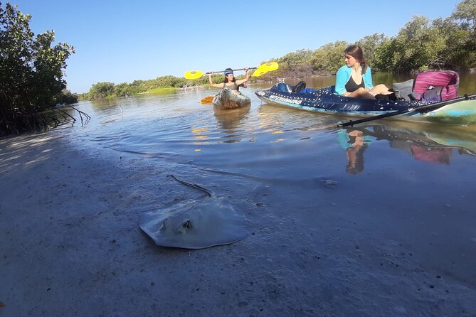 Kayak Experience in the Mangroves of Holbox Island - From Punta Mosquito into the Kuka River