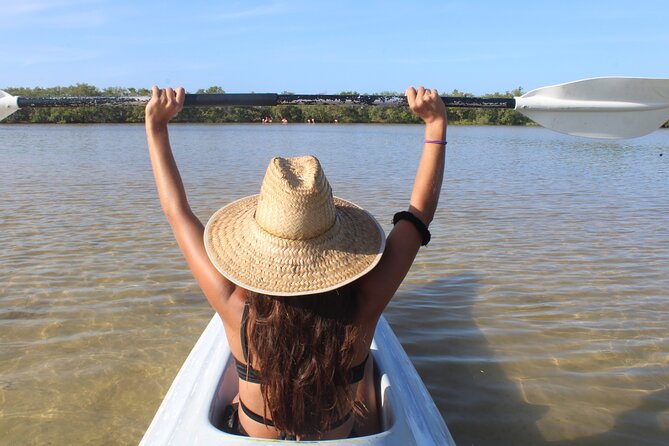 Kayak Mangroves Sunrise Experience - Flamingos, rays, horseshoe crabs, and crocodiles