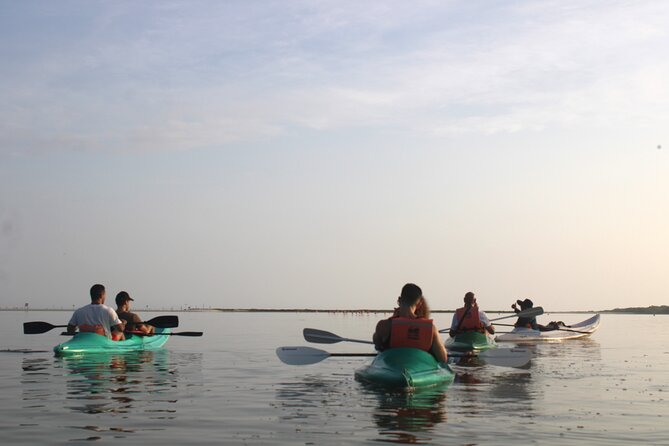 Kayak Mangroves Sunrise Experience - Paddling the Yum Balam mangrove channels