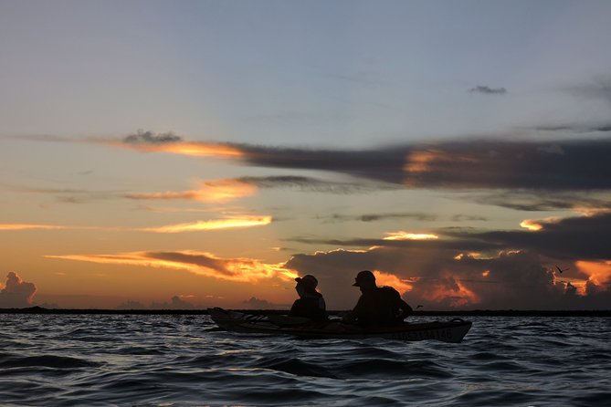Kayak Sian Ka’an Biosphere Reserve Sunset Tour - Bird islands without disturbing the birds