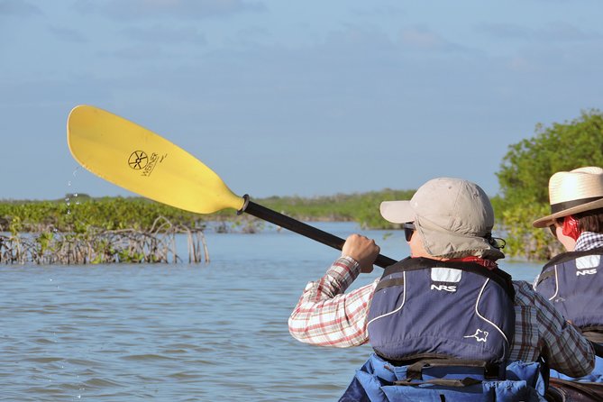 Kayak Sian Ka’an Biosphere Reserve Sunset Tour - What the small group changes