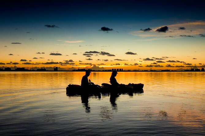 Kayak Tour at Sunset in Cancun - Narrow mangrove passages bring the best action