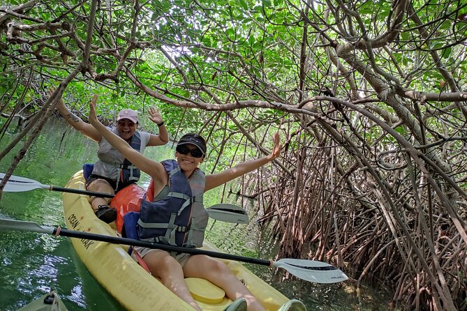 Kayak TOUR POR Laguna Nichupte Cancun - Wildlife, photos, fruit, and the pace of the tour