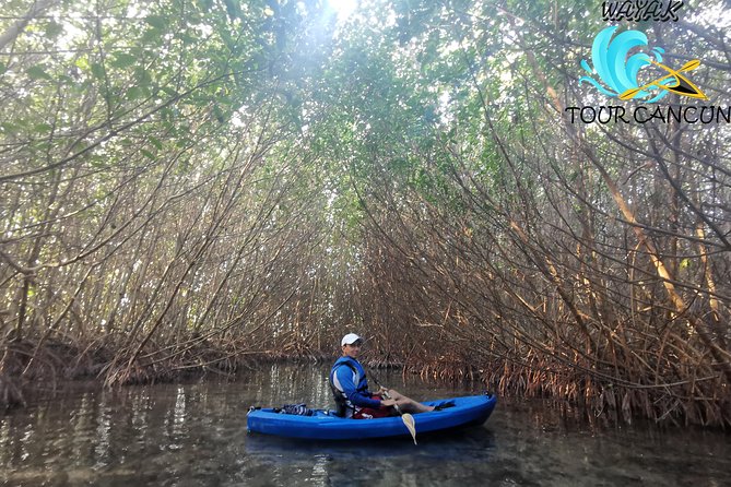 Kayak TOUR POR Laguna Nichupte Cancun - Is $38 a fair price?