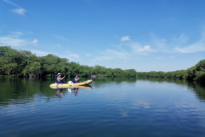 Kayak TOUR POR Laguna Nichupte Cancun - Who should book this kayak tour?