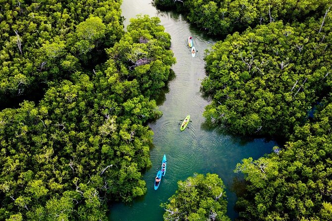 Kayaking Tour in Cancun - Group Size and Value
