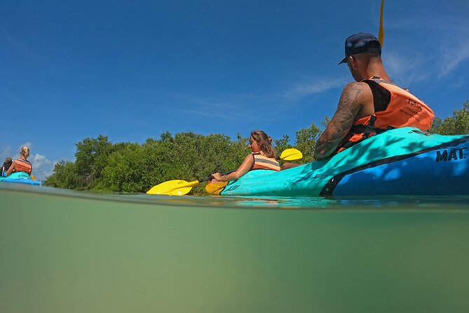 Kayaking Tour Through the Mangroves in Isla Holbox - How hard is the paddling?