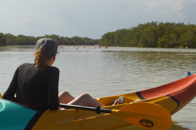 Kayaking Tour Through the Mangroves in Isla Holbox - The guides shape the whole morning