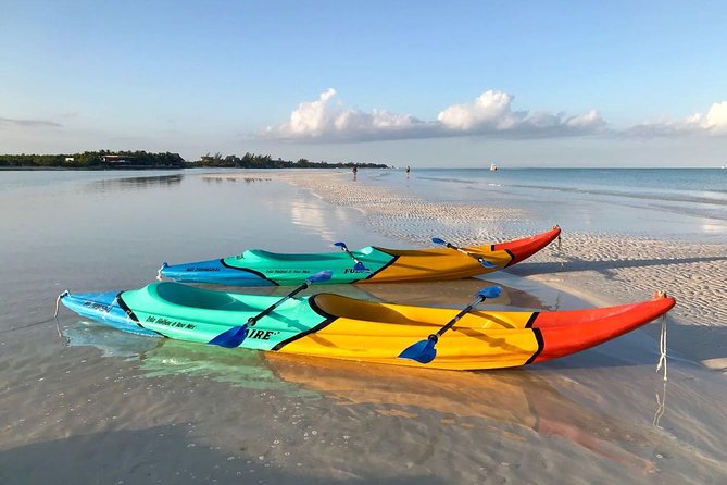 Kayaking Tour Through the Mangroves in Isla Holbox - The first 45 minutes inside the mangroves