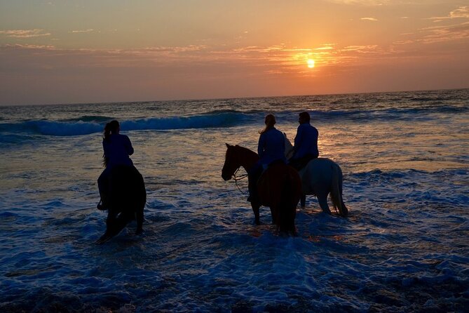 La Bufadora, Markets & Horseback Beach Ride Shore Excursion - Age, weather, and cancellation details