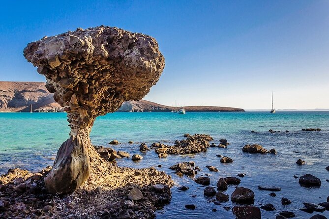 La Paz, Balandra and Todos Santos from CABO and San Jose - El Coromuel gives you another beach break