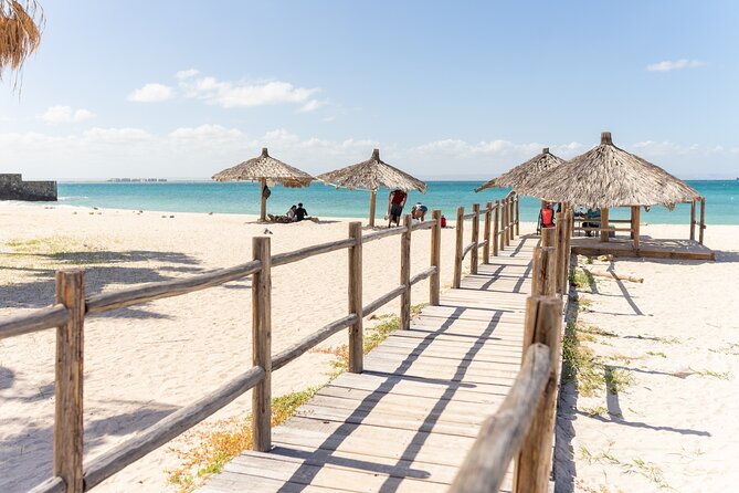 La Paz Beaches Half Day Tour - The six-beach promise needs a realistic reading