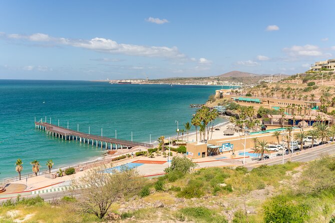 La Paz Beaches Half Day Tour - A local guide can turn a scattered coast into an easy day