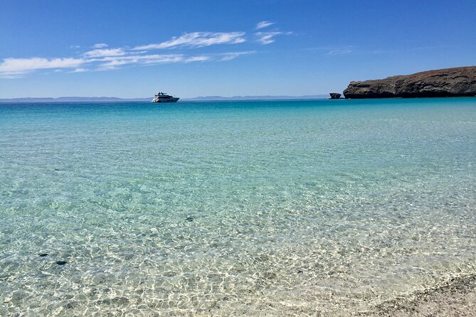 La Paz Whale Shark & Sea Lion Snorkeling + Balandra Tour - What Is Included for $250.92