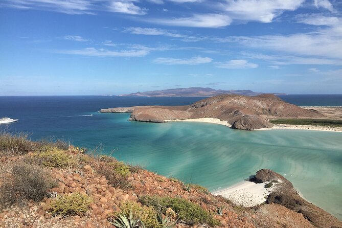 La Paz Whale Shark & Sea Lion Snorkeling + Balandra Tour - Balandra Beach and the Best Meal of the Day