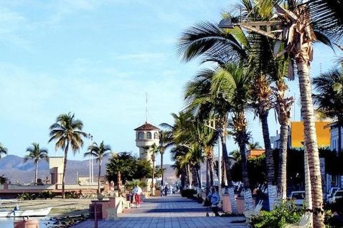 La Paz Whale Shark Snorkeling Tour and Lunch From Los Cabos - Fish tacos after the swim