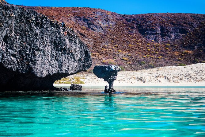 La Paz World Class Snorkeling in Balandras Hidden Beaches - Snorkeling, fish, coral, and changing water conditions