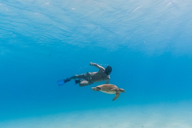 La Paz World Class Snorkeling in Balandras Hidden Beaches - Breakfast, lunch, and the open bar
