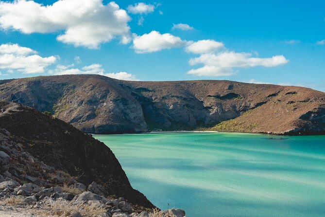 La Paz World Class Snorkeling in Balandras Hidden Beaches - Is $219 a fair price?