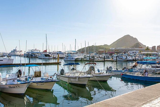 Land’s End Experience – Arch, Beaches & Marine Life - Is $55 a fair price?
