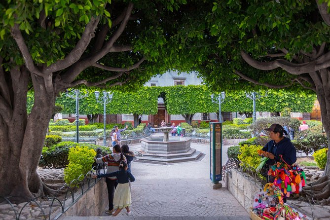 Landmarks and Lunch tour with Taste of San Miguel - Library, theater, and art school