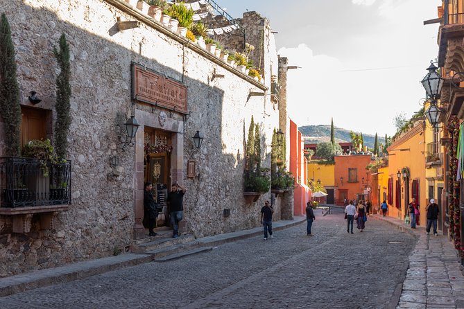 Landmarks and Lunch tour with Taste of San Miguel - Jardin Allende and the pink Parroquia