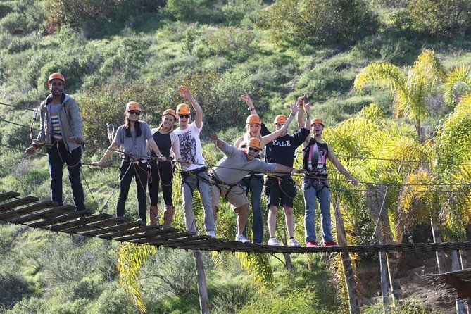 Las Cañadas Zipline Tour (with Luxury Roundtrip Transportation) - What the five bridges are really like