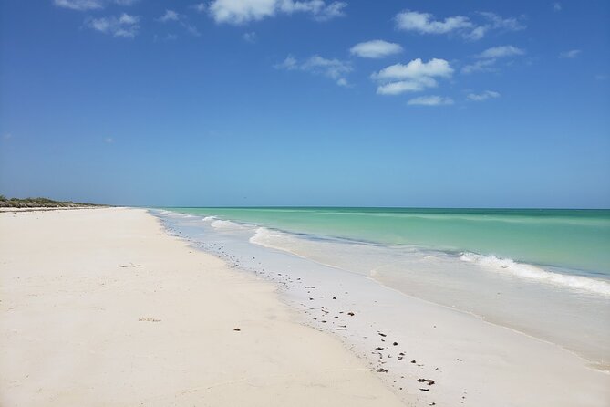 Las Coloradas, Río Lagartos and Playa Cancunito Tour from Mérida - Lunch at Maleconcito Gourmet
