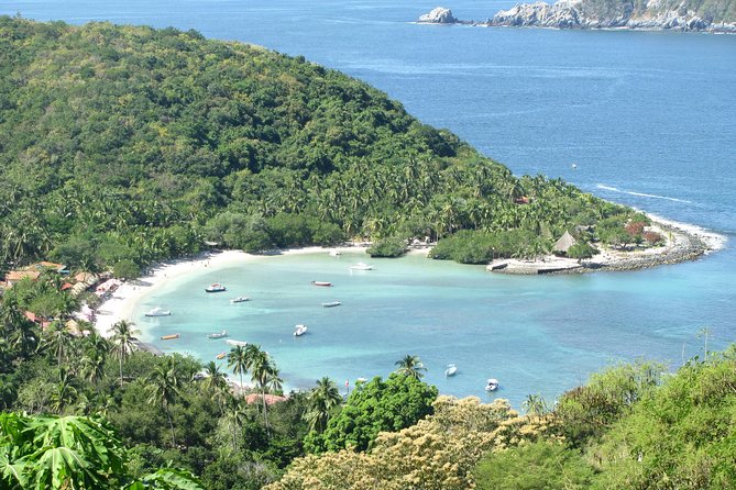 Las Gatas Kayaking and Snorkeling Tour - Guides who make a difference