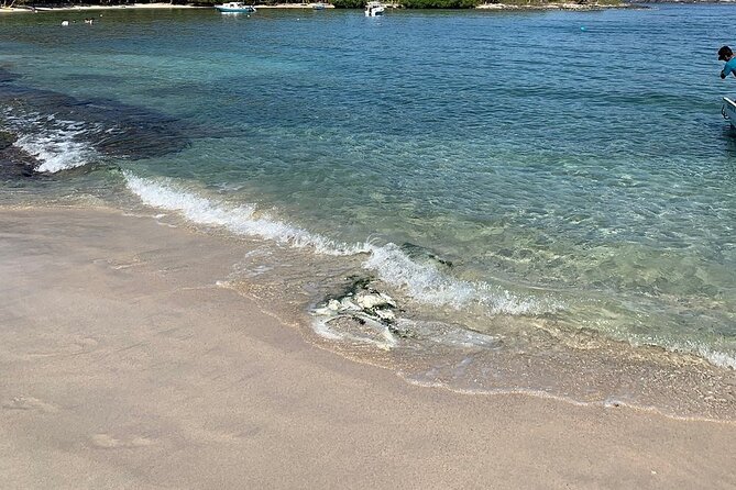 Las Gatas Kayaking and Snorkeling Tour - What the $101.56 price covers