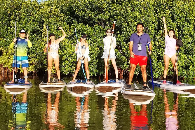 Learn Paddle Board and Explore the Mangroves of Progreso - What the $59.44 price includes