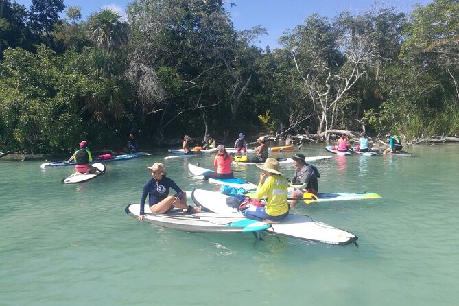 Learn Paddle Board and Explore the Mangroves of Progreso - Weather, timing, and cancellation details