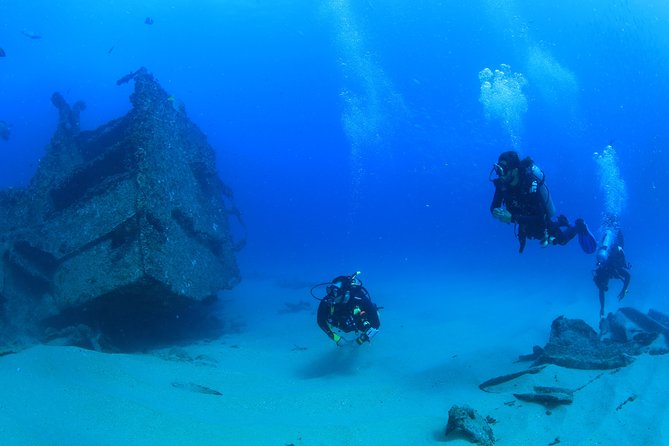 Learn to Scuba Dive in Cabo San Lucas with PADI - Key points to know before you book
