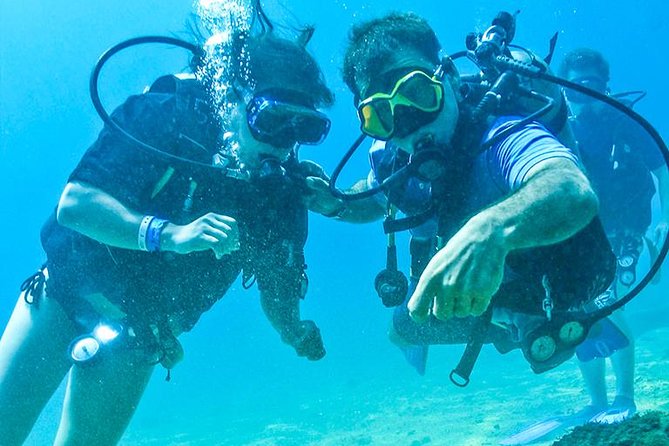 Learn to Scuba Dive in Cabo San Lucas with PADI - What the $129 price really means