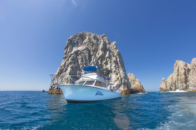 Learn to Scuba Dive in Cabo San Lucas with PADI - Safety, comfort, and staff support
