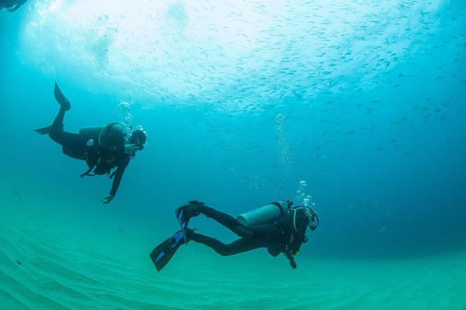 Learn to Scuba Dive in Cabo San Lucas with PADI - Who should book this Cabo experience?