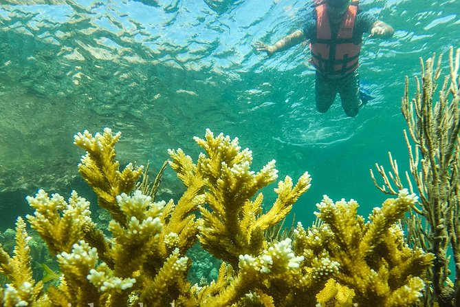 Local Fishing Plus Snorkeling Tour in Isla Mujeres - Two Hours Of Local Fishing