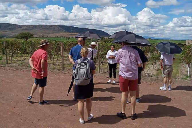 Local Vineyard Tour & Wine Tasting at the Independence Valley - A short ride into Valle de la Independencia