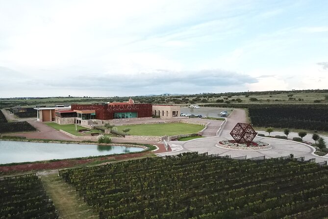 Local Vineyard Tour & Wine Tasting at the Independence Valley - Free time for lunch, the shop, and the grounds
