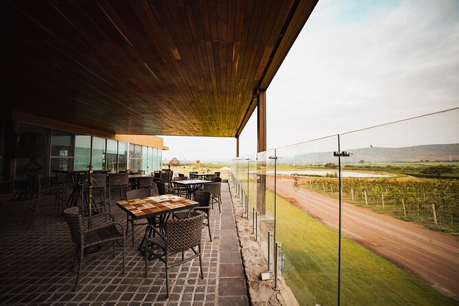 Local Vineyard Tour & Wine Tasting at the Independence Valley - Practical details that affect your day